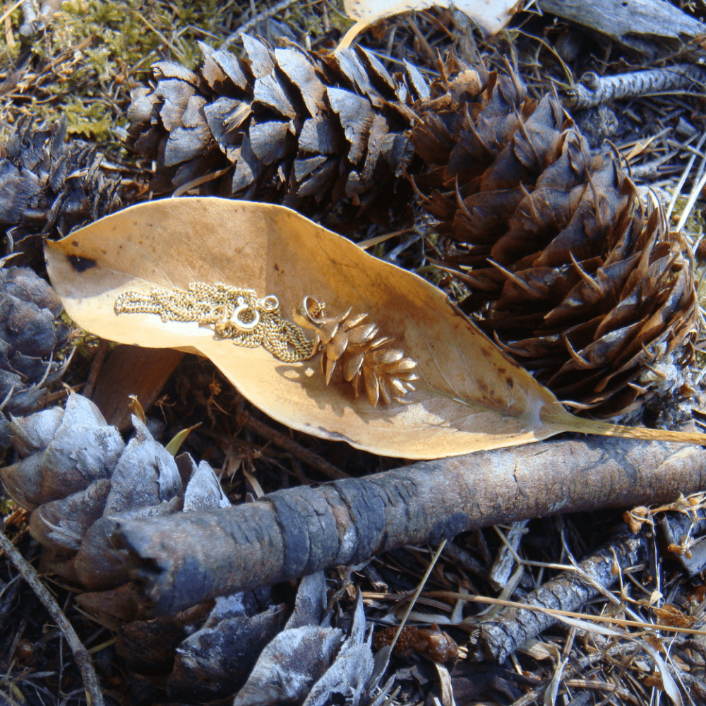 Bronze Pinecone -   Bronze, Molding materials, Pine cones