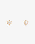 Baby Pearl 6 Prong Studs | Magpie Jewellery