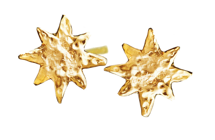 Shining Star Studs - Magpie Jewellery