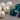 June’s Birthstones: The Magic of Pearl and Alexandrite
