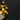 Gold Nugget in sack