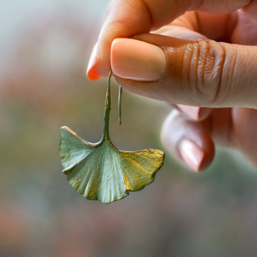 Ginkgo Leaf Earrings