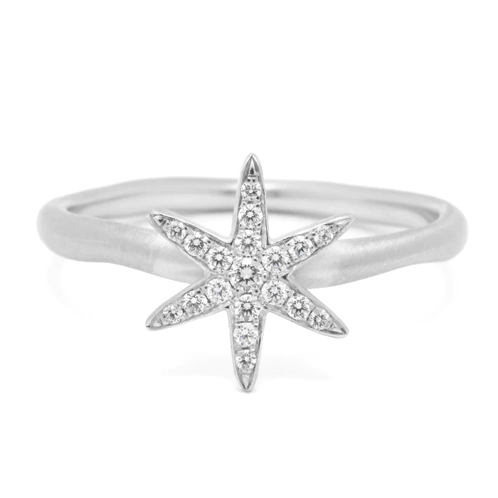 Diamond Pave Star Ring | Magpie Jewellery