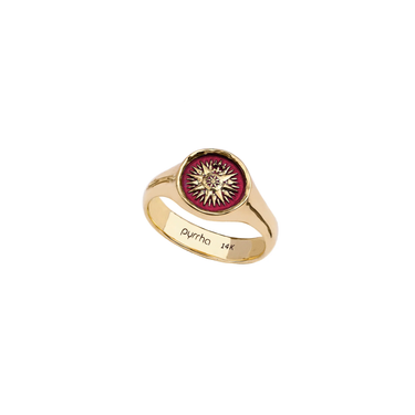 Direction 14K Gold Signet Ring - True Colors | Magpie Jewellery