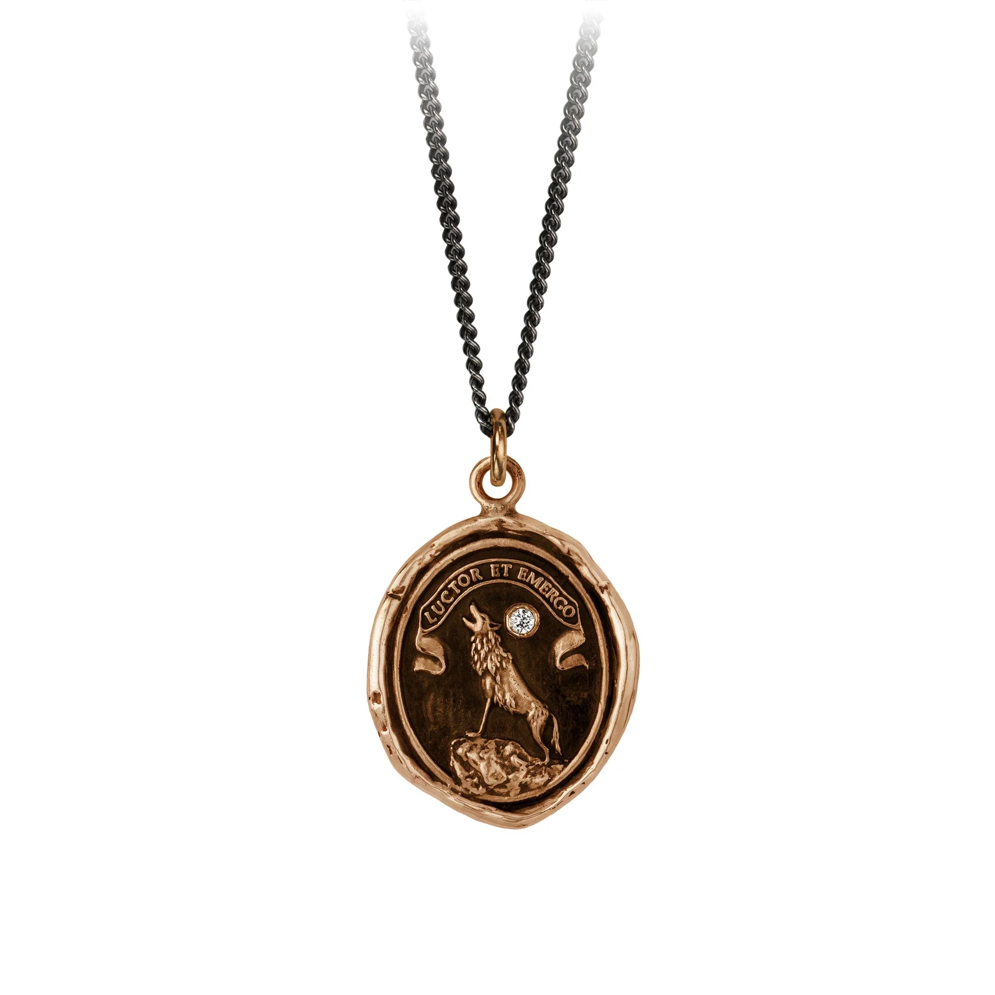 Struggle and Emerge Diamond Set Talisman | Magpie Jewellery