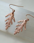 Cedar Drop Earrings | Magpie Jewellery