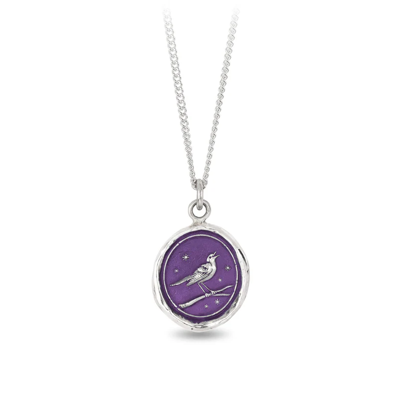 Sterling Silver Necklace with a violet background under a talisman depicting  Nightingale Bird sat on a branch with a starry sky behind it