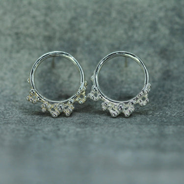 Russel Reef Hoop Studs