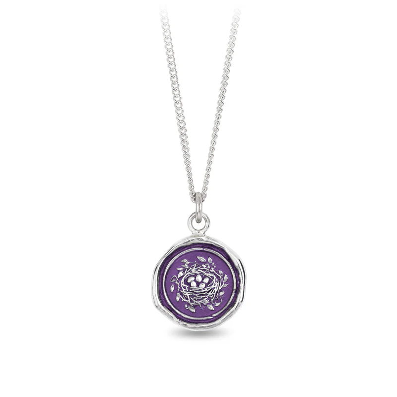 Sterling Silver necklace with a violet background under a talisman depicting a Birds next with 5 tiny birds egg sitting inside 