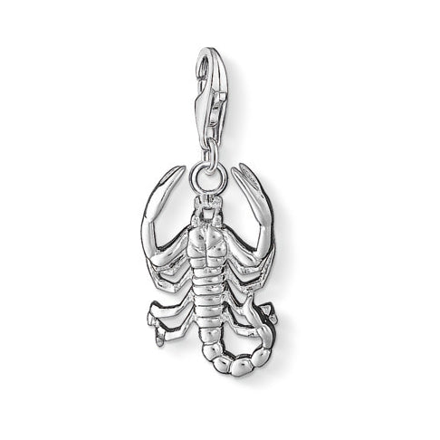 Scorpio Scorpion Charm - Magpie Jewellery