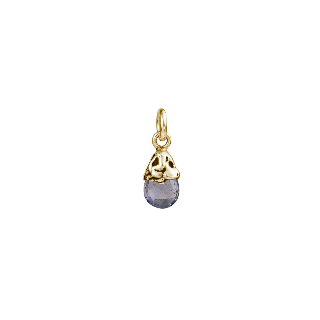 Creativity 14K Gold Capped Attraction Charm | Magpie Jewellery