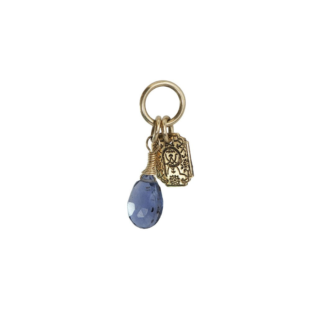 Creativity 14K Gold Signature Attraction Charm | Magpie Jewellery