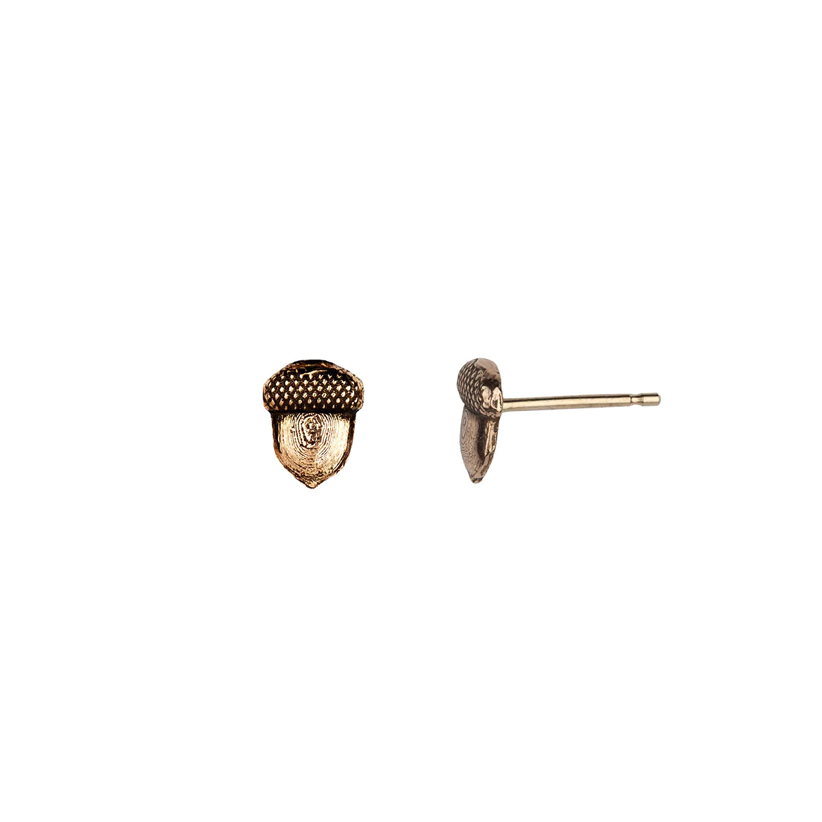 Acorn 14K Gold Symbol Stud | Magpie Jewellery