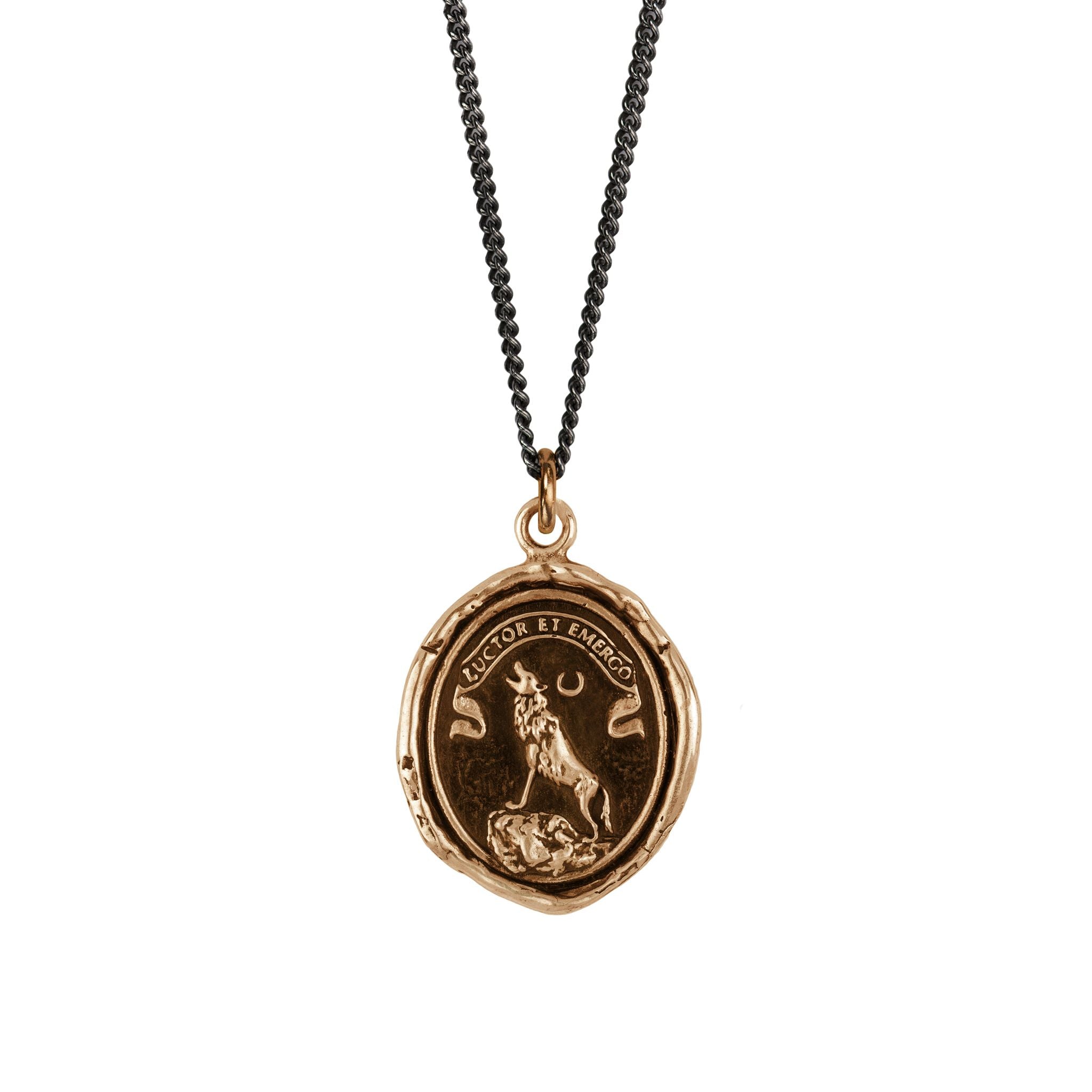 Struggle and Emerge Talisman Bronze | Magpie Jewellery