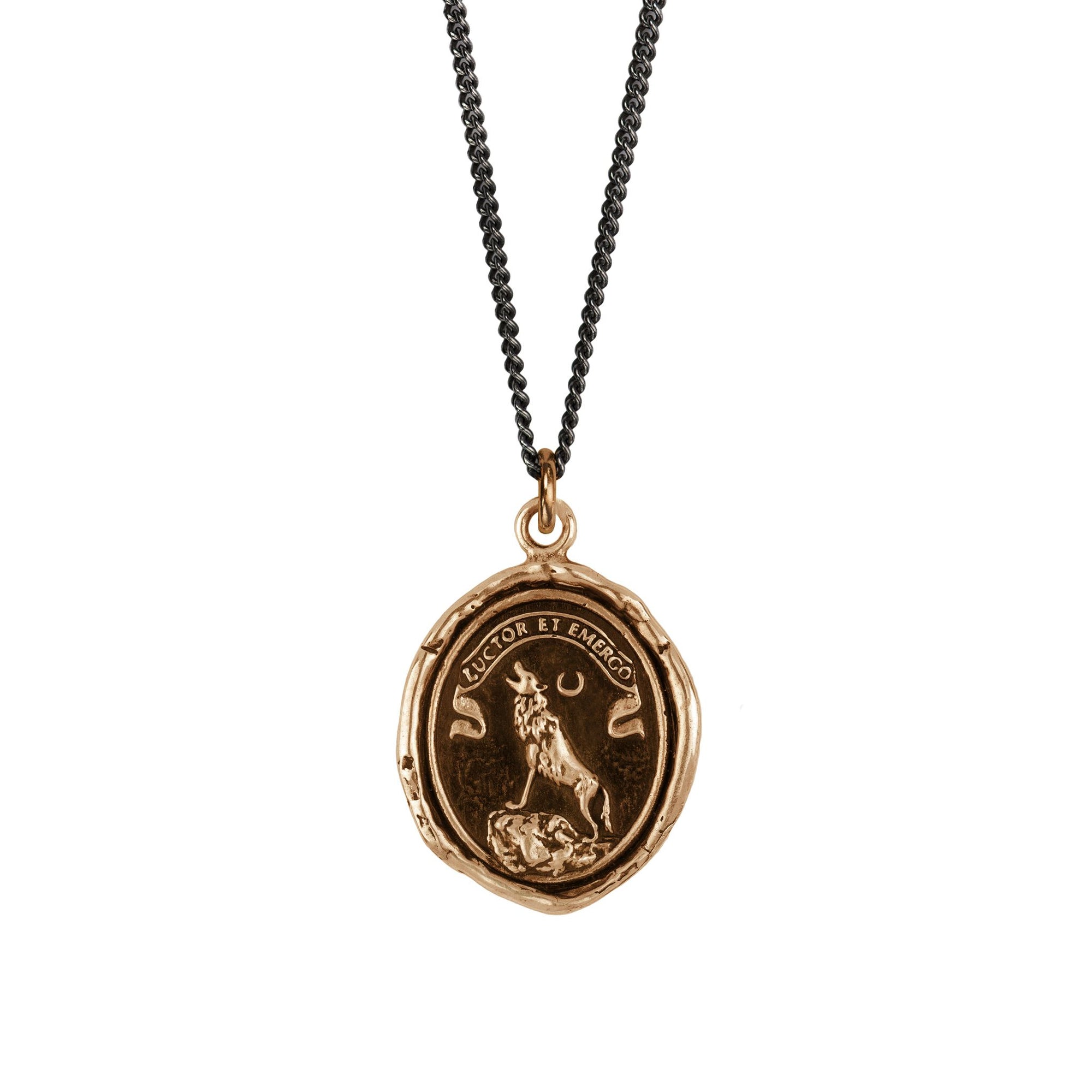 Struggle and Emerge Talisman Bronze | Magpie Jewellery