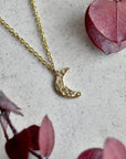 14k Tiny Crescent Moon Necklace - Magpie Jewellery