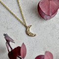 14k Tiny Crescent Moon Necklace - Magpie Jewellery