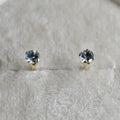 14k Claw-Set Aquamarine Studs - Magpie Jewellery