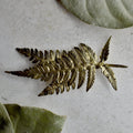 Fern Brooch - Magpie Jewellery