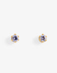 Baby Tanzanite 6 Prong Studs | Magpie Jewellery