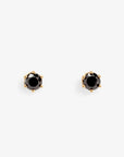 0.2 carat 6 Prong Black Diamond Studs | Magpie Jewellery