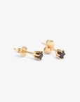 0.2 carat 6 Prong Black Diamond Studs | Magpie Jewellery