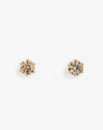 0.2 carat 6 Prong Brown Diamond Studs | Magpie Jewellery