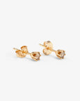 0.2 carat 6 Prong Brown Diamond Studs | Magpie Jewellery