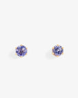 0.2 carat 6 Prong Tanzanite Studs | Magpie Jewellery