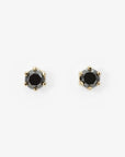 6 Prong Black Diamond Stud | Magpie Jewellery