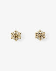 6 Prong Brown Diamond Stud | Magpie Jewellery