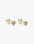 6 Prong Brown Diamond Stud | Magpie Jewellery