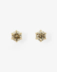 Large 6 Prong Brown Diamond Studs | Magpie Jewellery