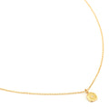 Mini Organic Stardust Necklace - Magpie Jewellery