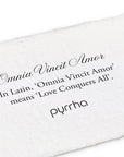 Omnia Vincit Amor 14K Gold Latin Motto Band Ring | Magpie Jewellery