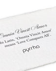 Omnia Vincit Amor (Love Conquers All) Narrow 14k Gold Textured Band Ring - Magpie Jewellery