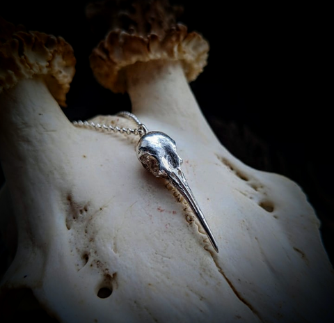 Hummingbird Skull Necklace - Magpie Jewellery