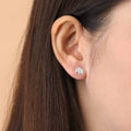 Elephant Studs - Magpie Jewellery