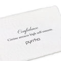 Confidence 14K Gold Signature Attraction Charm | Magpie Jewellery
