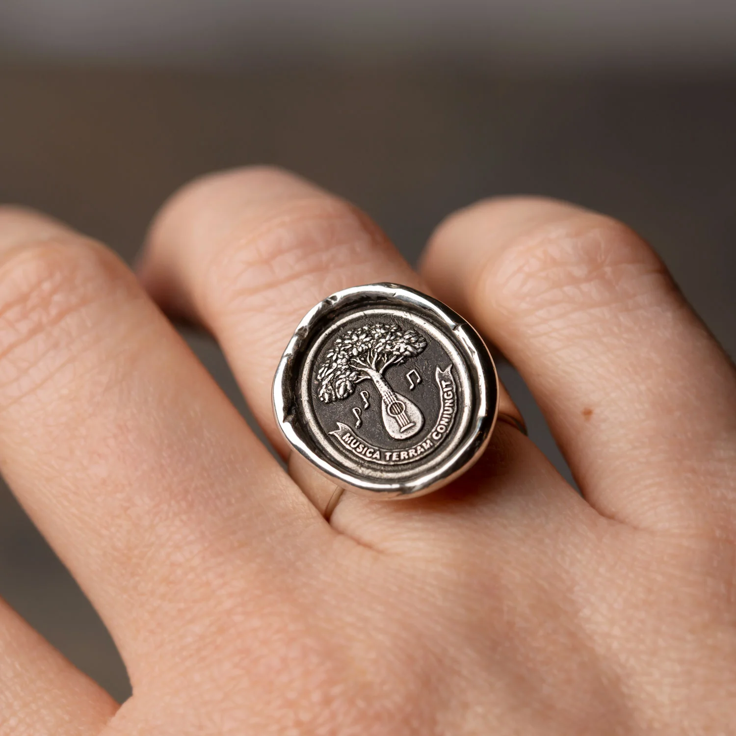 Music Unites Us Talisman Ring | Magpie Jewellery