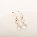 Freefall Crystal Earring - Magpie Jewellery
