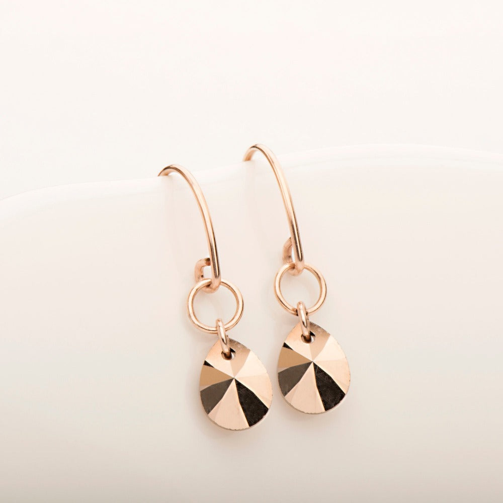 Freefall Crystal Earring - Magpie Jewellery