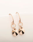 Freefall Crystal Earring - Magpie Jewellery